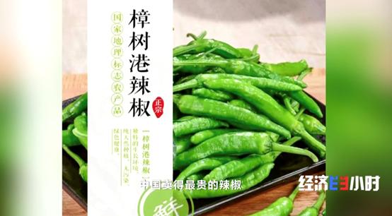 一斤卖300元，辣椒中的“茅台”！你吃过吗？