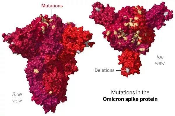 专家称奥密克戎毒性转弱，“德密克戎”新毒株重组可能性小