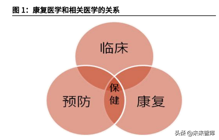 新医疗器材怎么推广康复医疗器械行业深度报告:御风而行,运筹千里_新闻资讯_第1张_活检穿刺产品网 新医疗器材怎么推广康复医疗器械行业深度报告:御风而行,运筹千里_https://www.jmylbn.com_新闻资讯_第1张