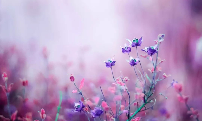 诺玛刀锋255s怎么改后座怎么改