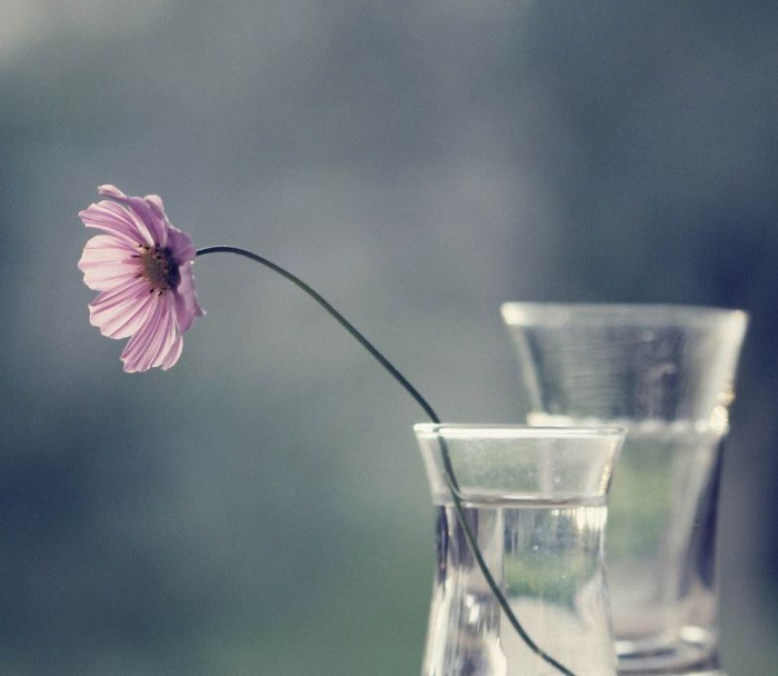 所谓生活，有点忙，有点苦，有所为，有所爱，有所期待