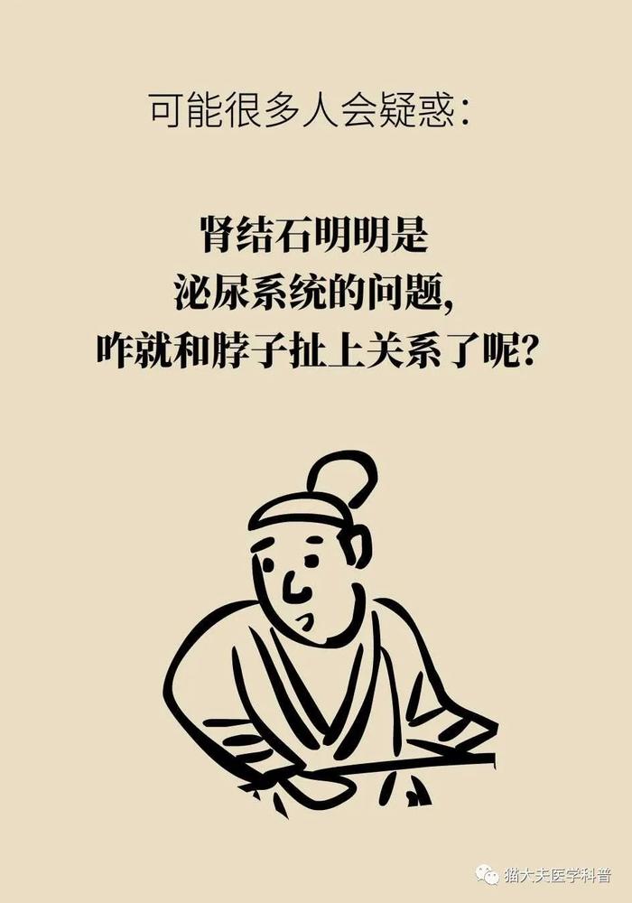 肾上长了结石，为什么病因却在脖子上？