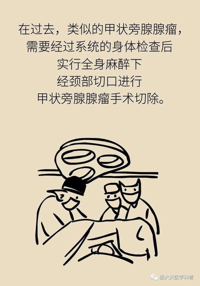 肾上长了结石，为什么病因却在脖子上？