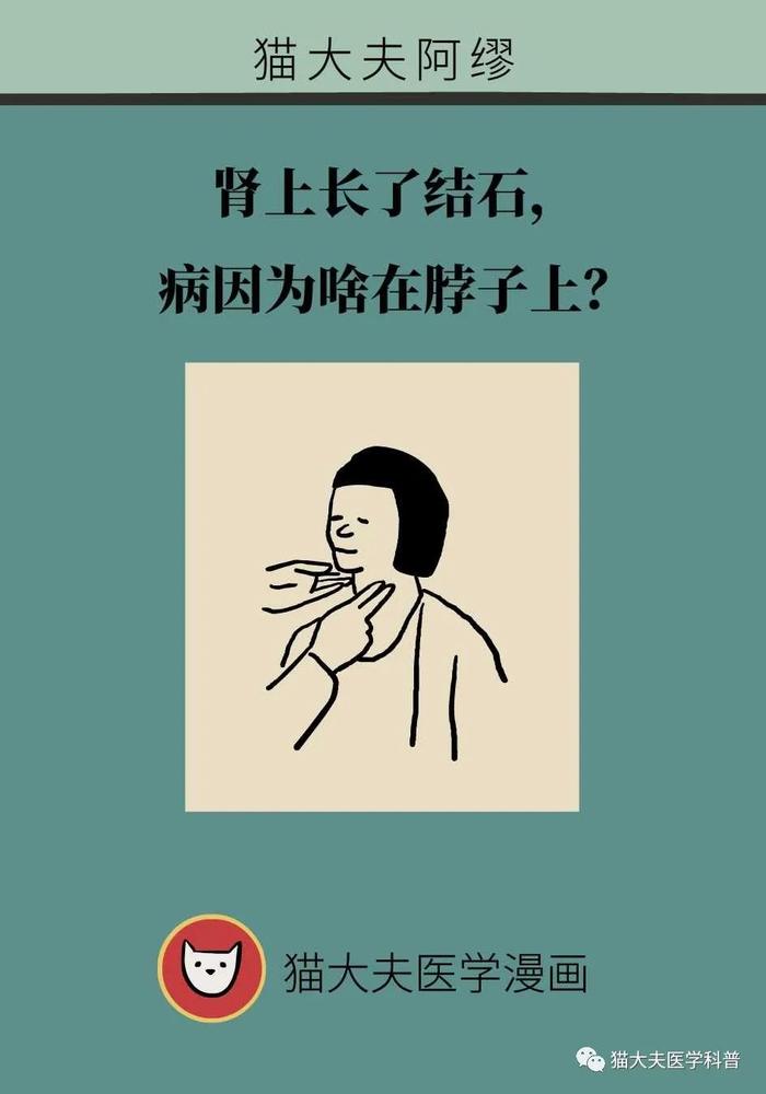 肾上长了结石，为什么病因却在脖子上？