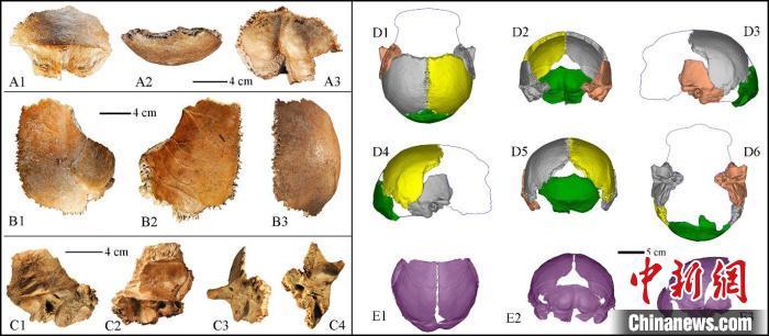 中国科学家研究发现“许家窑人”是20万年前颅容量最大古人类