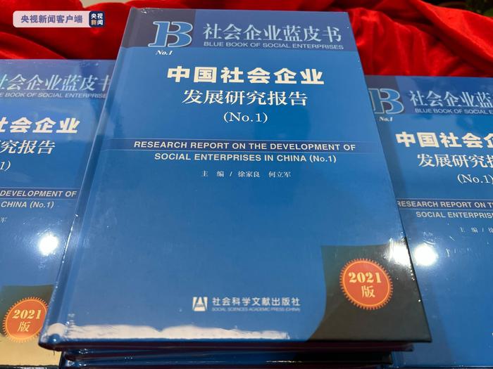 蓝皮书：中国社会企业有多元法人性质，营收普遍存在收入有限