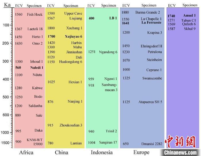 中国科学家研究发现“许家窑人”是20万年前颅容量最大古人类