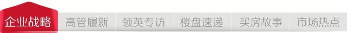 前建业地产CEO袁旭俊出任新田集团商业事业部联席董事长