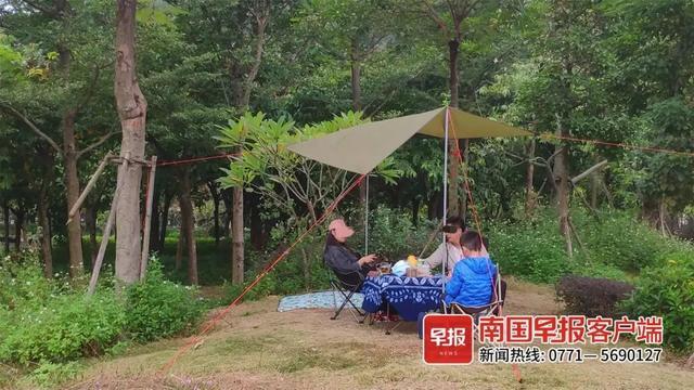 “双减”后，你是选择“躺平”还是继续“鸡娃”？