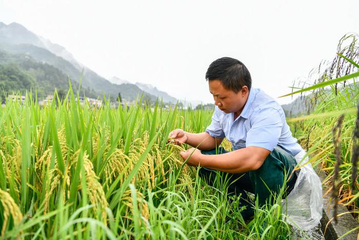 我在现场·照片背后的故事｜这一年，我在山里见证他们的耕耘与收获