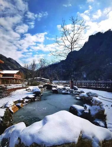 采摘草莓、赏雪、享受美食......春节假期可以安排上了