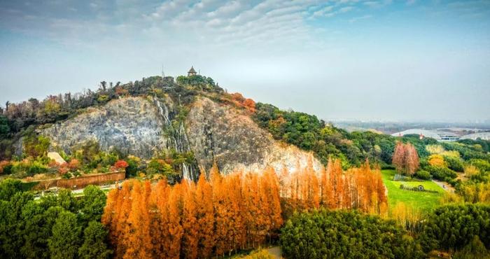 【图集】仿佛进入了油画里！赏美图云览辰山植物园→