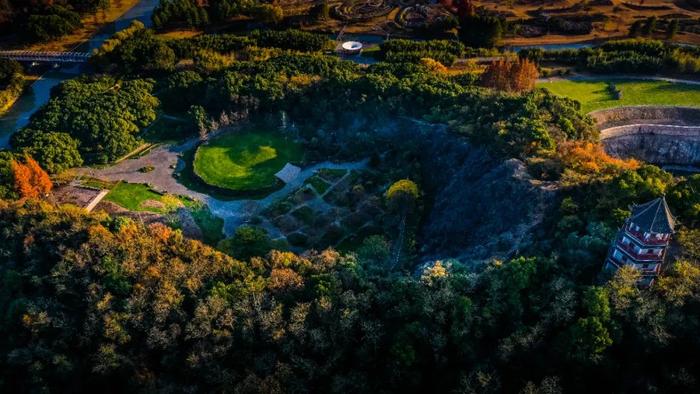 【图集】仿佛进入了油画里！赏美图云览辰山植物园→