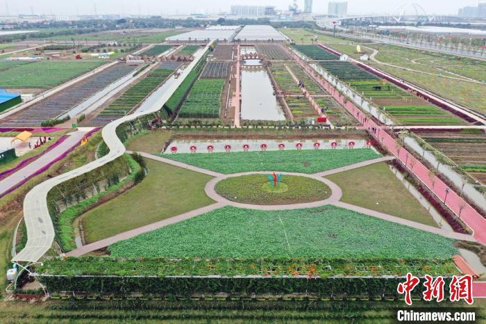 广州耗资数十亿元建农业公园 让民众在城市体验田园之乐