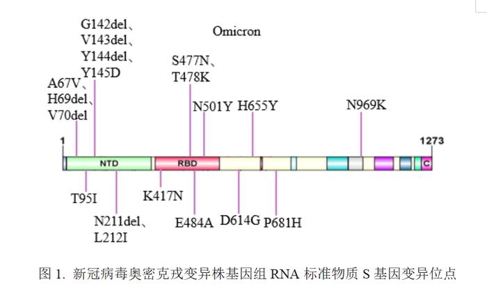 中国计量院成功研制新冠病毒奥密克戎变异株基因组RNA标准物质