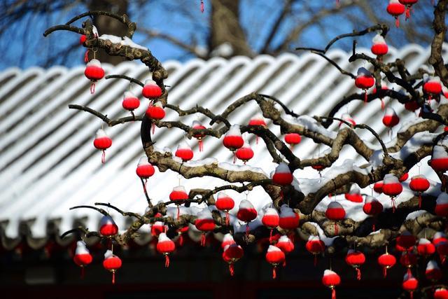 北京虎年首场降雪过后 颐和园放晴雪后景色美