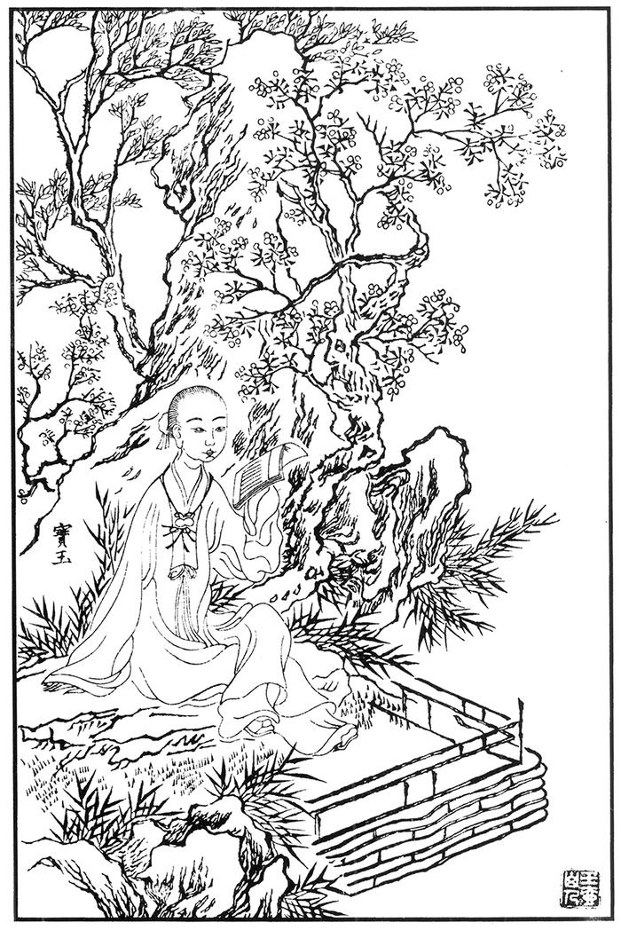 贾宝玉