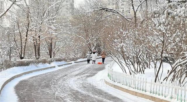 哈尔滨全市主干街路积雪清理完毕 今天还会有阵雪，交警部门发布提示