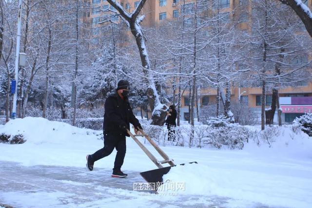 哈尔滨全市主干街路积雪清理完毕 今天还会有阵雪，交警部门发布提示