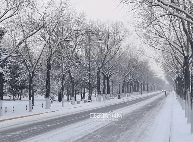 哈尔滨全市主干街路积雪清理完毕 今天还会有阵雪，交警部门发布提示