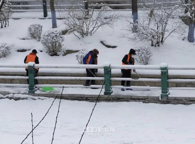 哈尔滨全市主干街路积雪清理完毕 今天还会有阵雪，交警部门发布提示