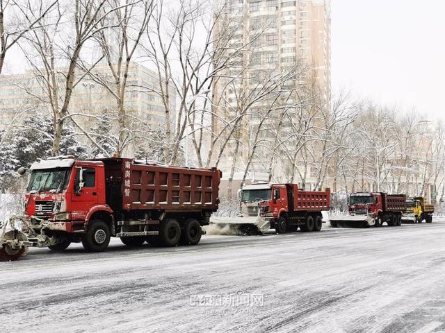 哈尔滨全市主干街路积雪清理完毕 今天还会有阵雪，交警部门发布提示