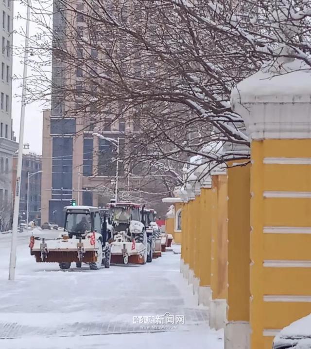 哈尔滨全市主干街路积雪清理完毕 今天还会有阵雪，交警部门发布提示