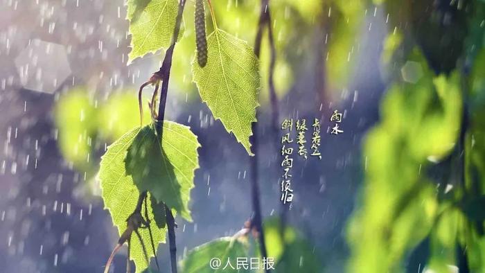 乐健康 | 雨水时节湿气重，如何健脾养胃？新冠疫苗序贯接种要符合这些条件