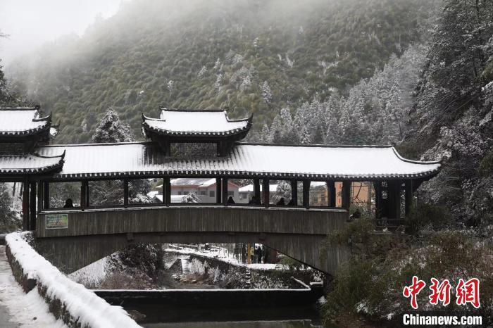 浙江百山祖国家公园迎降雪 风景如画