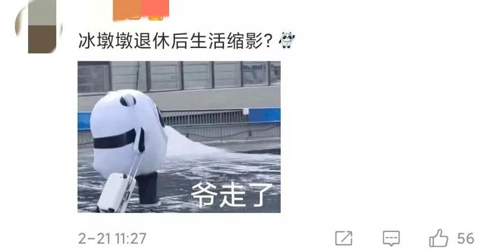 野生大熊猫游泳过河，网友：这不是下班后的冰墩墩吗？