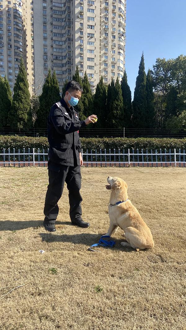 它叫“生米”，警龄10年，往后余生在警犬支队颐养