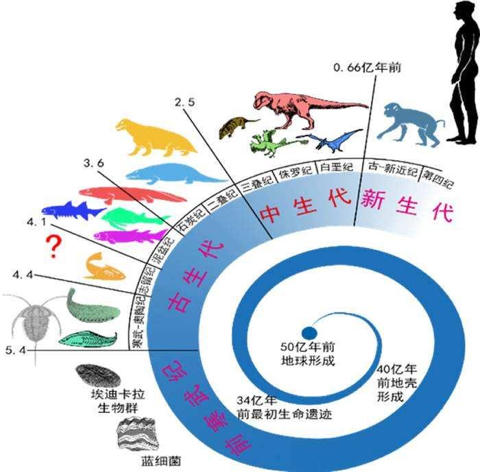 地球 生命 何億年前？
