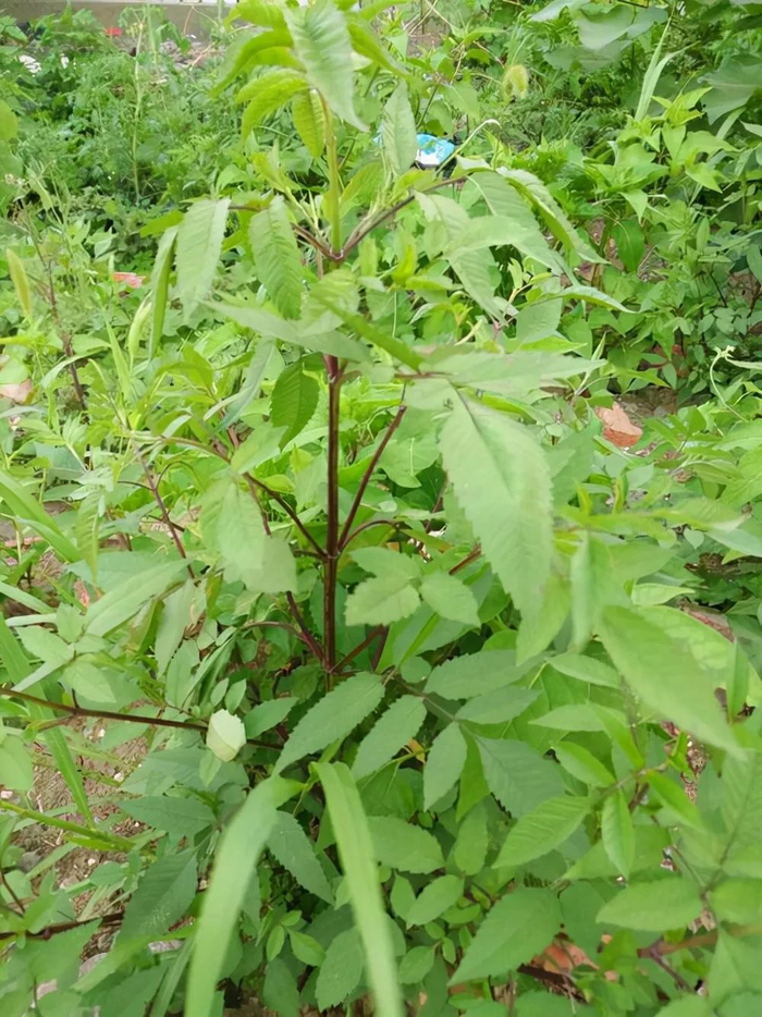 肿瘤消了壳子还在这是怎么回事?