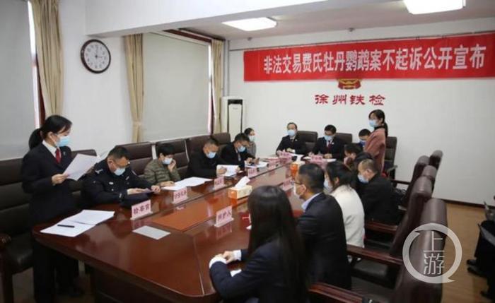 ▲2021年11月,徐州铁路运输检察院对刘某等3人非法交易费氏牡丹鹦鹉案绝对不起诉。图片来源/法治日报