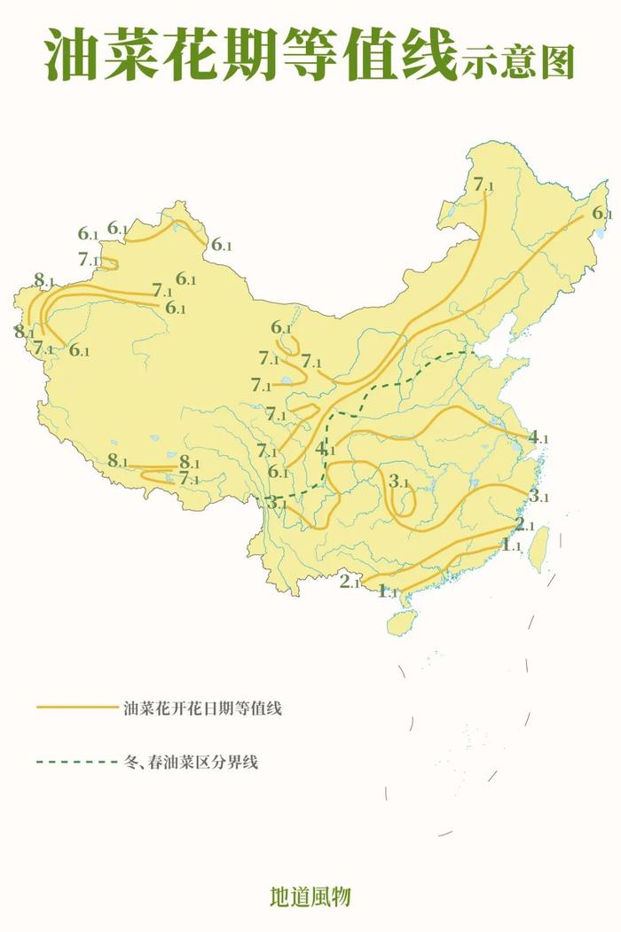 等值线是某一数量指标值相等的各点连成的平滑曲线。 图中等值线上花期相近。制图/孙璐