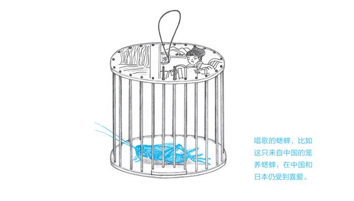 《当昆虫遇见人类文明》内页插图。