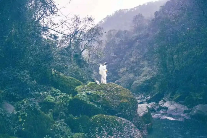 面对强敌毫不手软 字母哥高效输出助雄鹿稳居东部前四