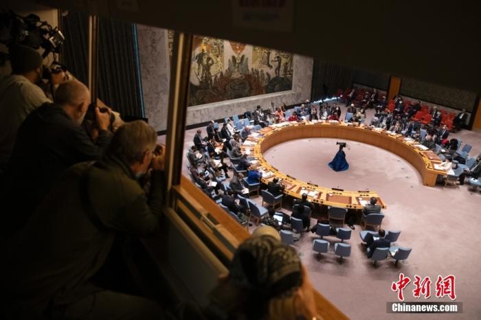 当地时间3月11日,联合国安理会在纽约联合国总部举行会议审议乌克兰生物安全问题。中新社记者 廖攀 摄