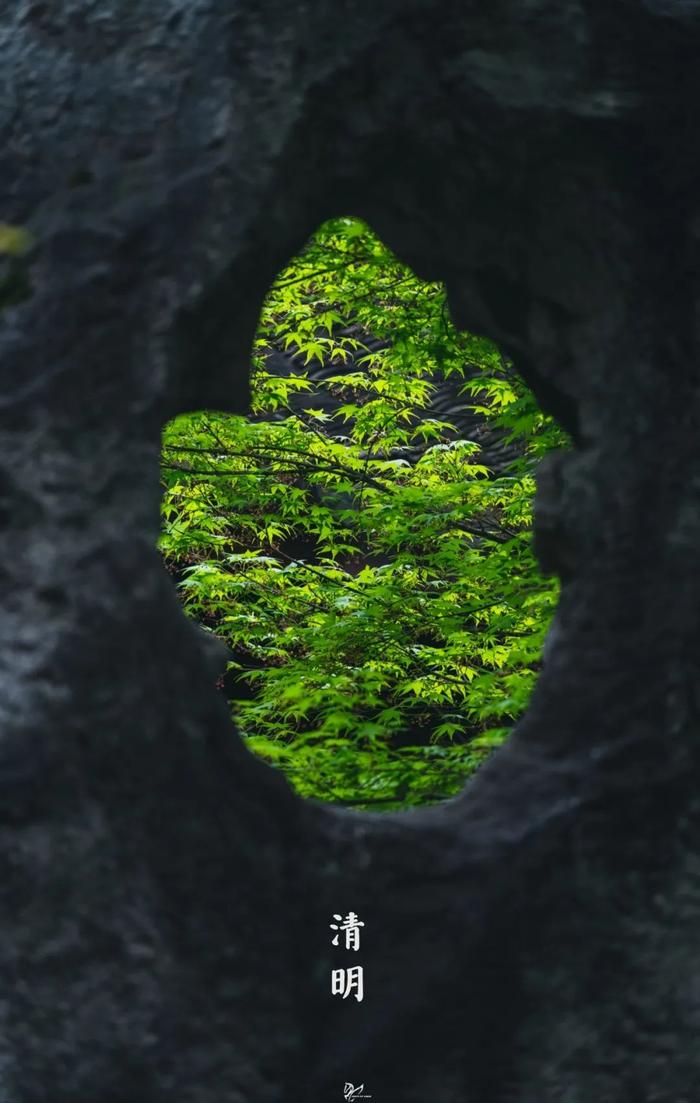 今日清明｜清明时节雨纷纷，江南如墨染