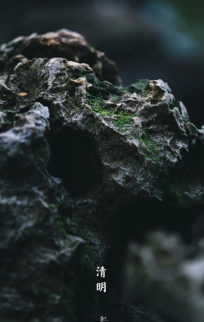 今日清明｜清明时节雨纷纷，江南如墨染