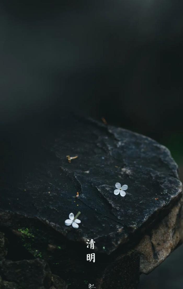 今日清明｜清明时节雨纷纷，江南如墨染