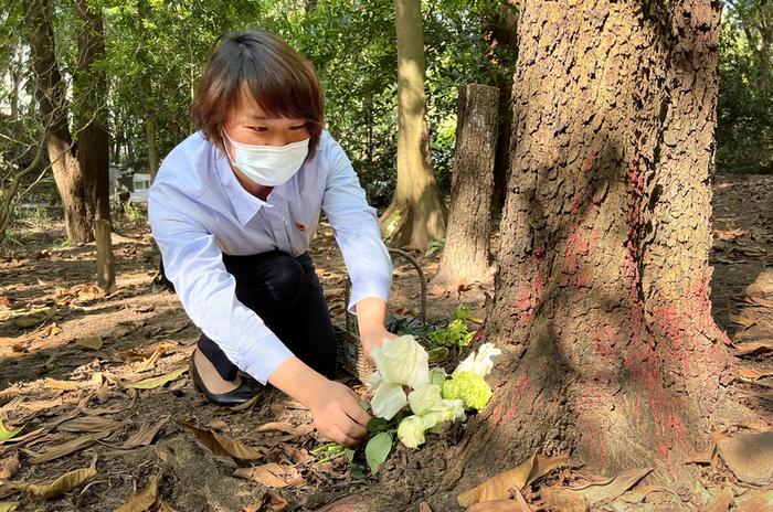 广州推行节地生态葬三十四年，全市节地生态安葬率超八成