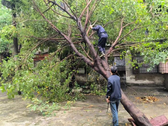 积极应对本轮强对流天气 九龙坡区迅速启动应急响应