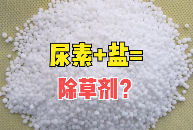 尿素是什么原因造成的 w700d1q75cms.jpg