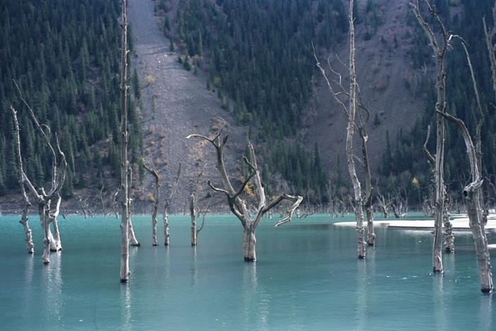 穿越孟克特古道（下）：行走在内部的风景