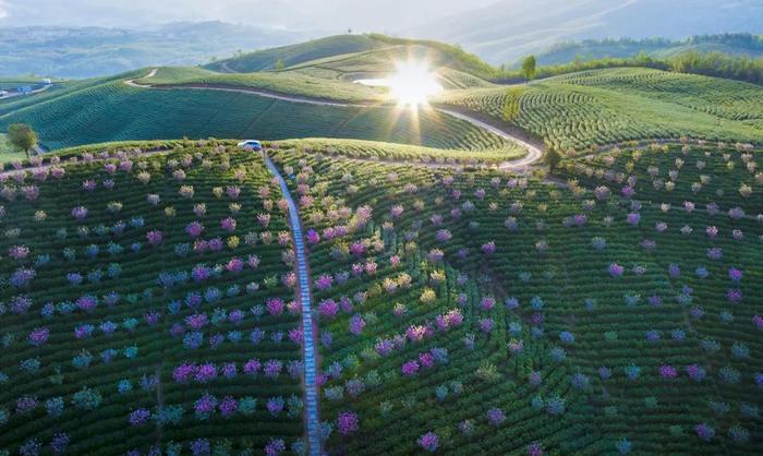 中国法院“二十四”节气 谷雨——中国法院人 春天的守护