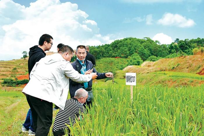 上传虚假牛圈猪圈照片骗取资金80万，巨额农资挪作他用……严查硕鼠“靠农吃农”！