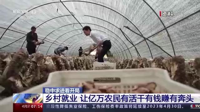 稳中求进看开局丨一季度农民工资性收入增幅超7.3% 农民就业呈现新特点→