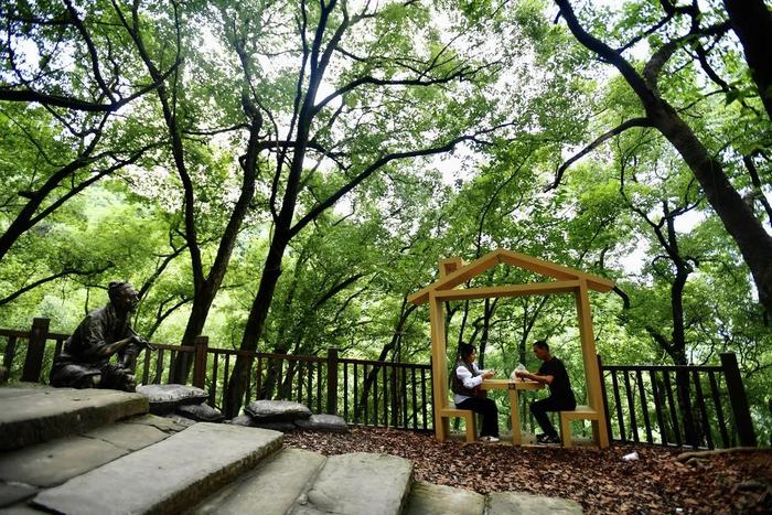 漫步山林步道  “醉入”重庆森林