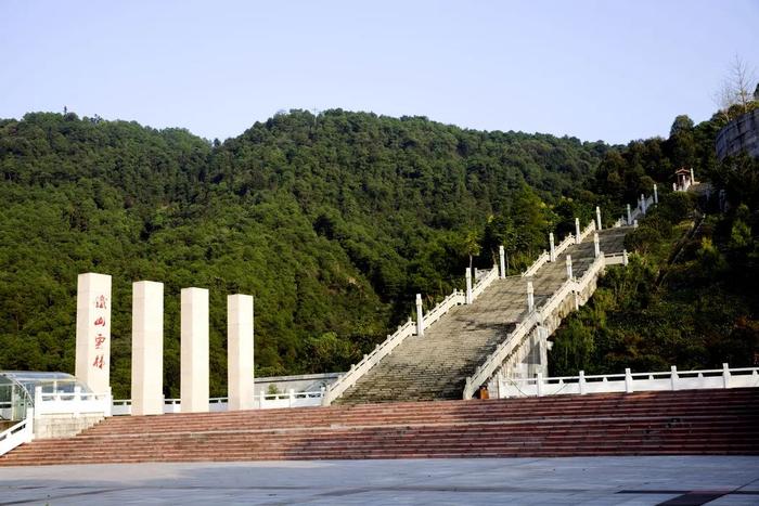 漫步山林步道  “醉入”重庆森林